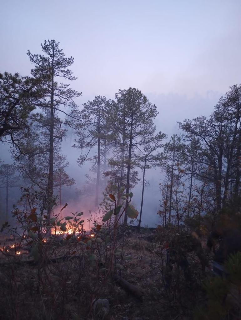 La sierra de Durango no deja de arder, se reactivan incendios forestales