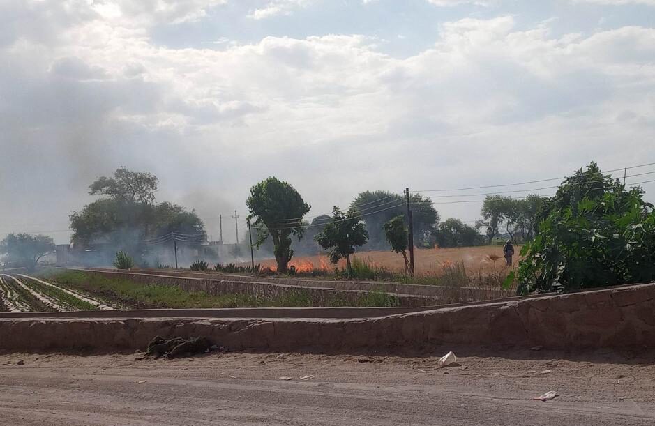 Propone diputado castigar quemas agrícolas, daña fertilidad de las tierras