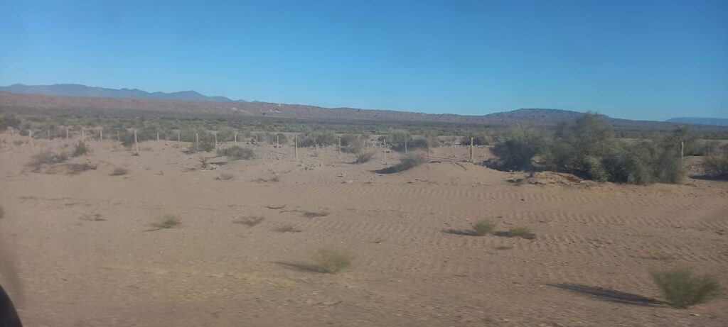 Gobierno federal negó a Durango declaratoria de emergencia por intenso calor y sequía