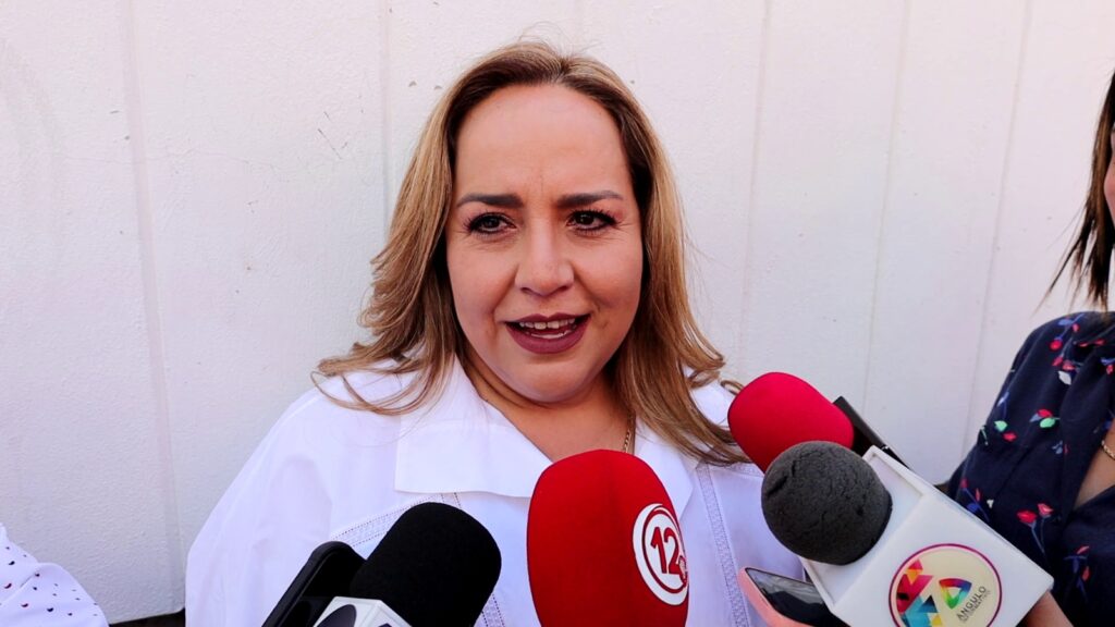 Movimiento Ciudadano es un remix de panistas y priistas: Vero Pérez
