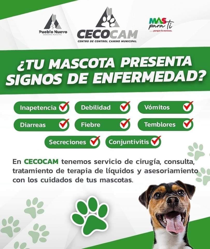 En el Cecocam atienden a las mascotas enfermas por altas temperaturas