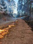Incendio forestal