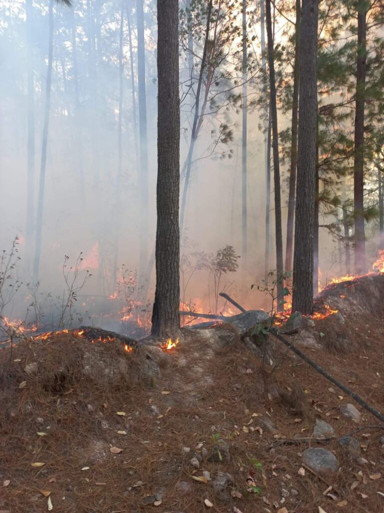 Incendio forestal en los Bancos toma fuerza