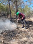 Incendio forestal