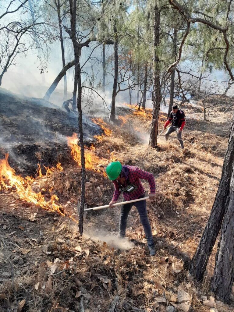 Incendios forestales suman más de 100 hectáreas afectadas en PC
