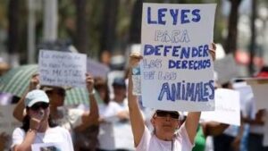 Marchan en CDMX en contra del maltrato animal