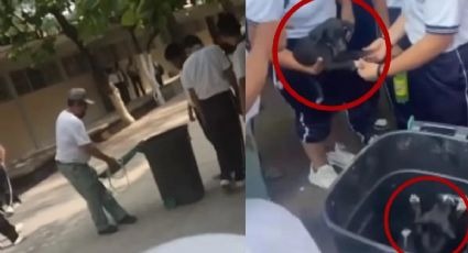 VIDEO: Maestro arrastra a perrita y tira a sus cachorros a la basura en Oaxaca