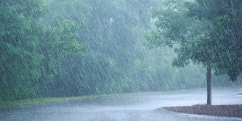 Se forma la tormenta tropical Beatriz; causará lluvias en estos estados