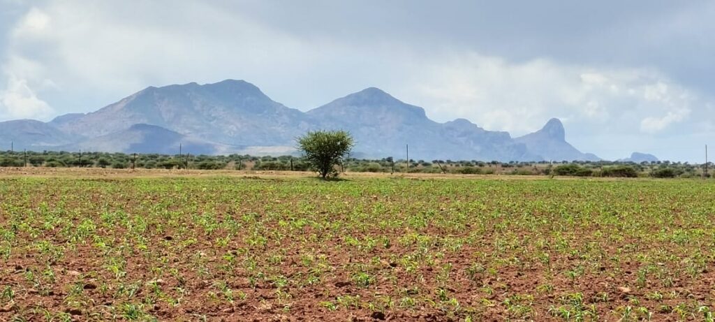 La agricultura de Durango debe adaptarse al cambio climático: diputado Fernández