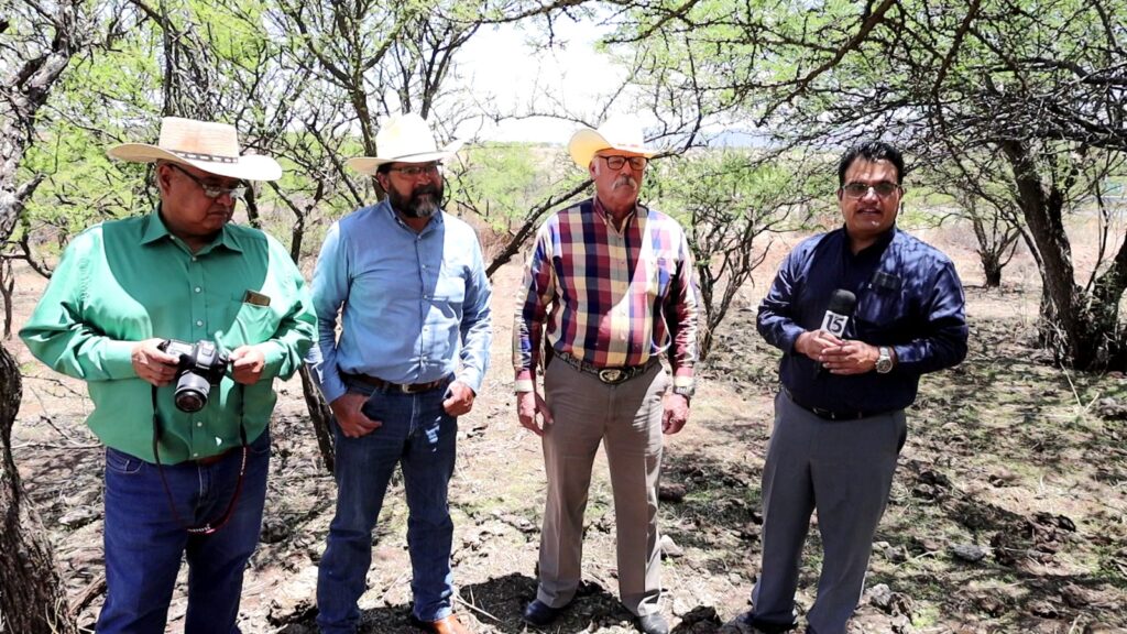 Ejidatarios de Durango pueden ganar más dinero con sus pastizales: Sommap