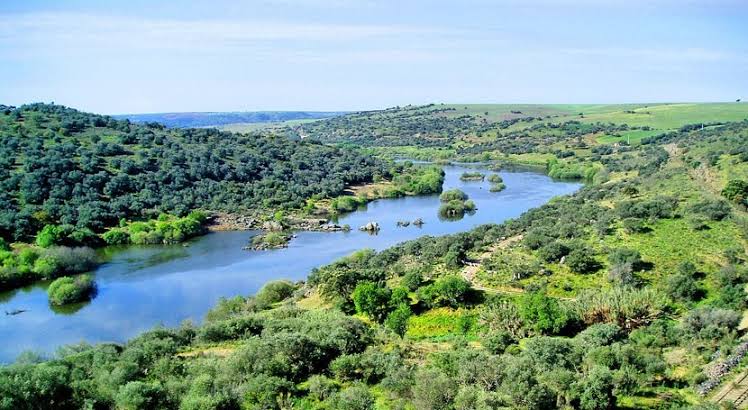 No hay concesiones nuevas, acuífero de Valle del Guadiana, sobreexplotado: Conagua