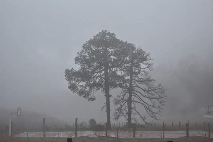 Lluvias apagaron incendios forestales en Durango