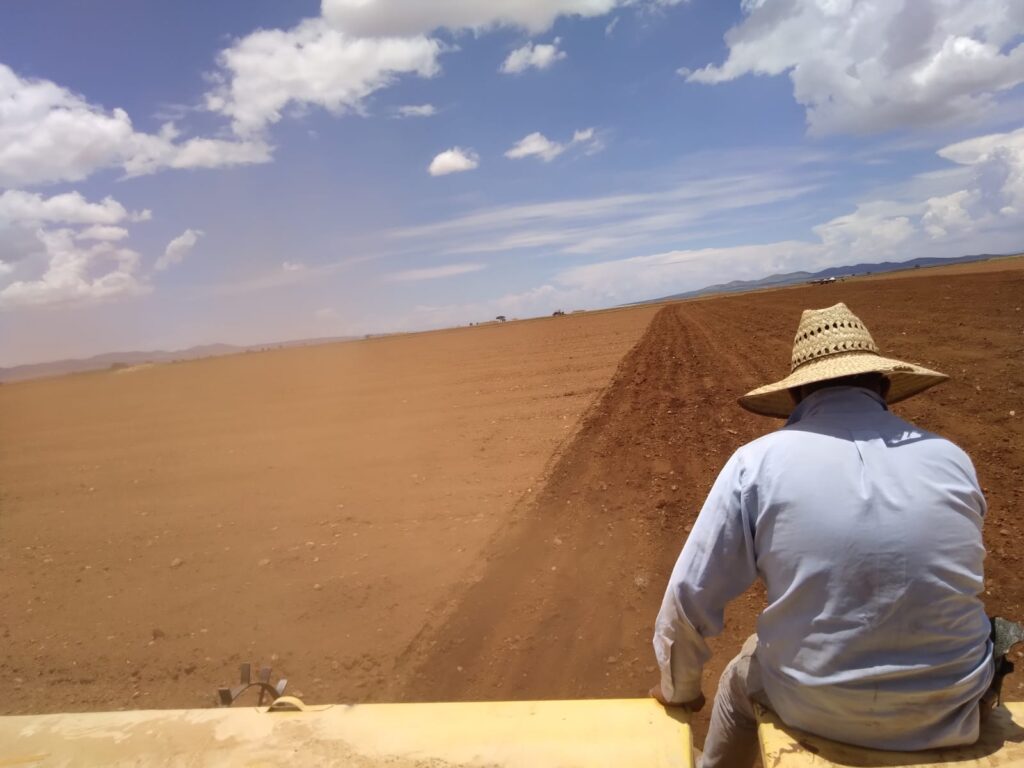 «Por vida suya, entreguen la semilla de frijol», suplican campesinos al Gobierno