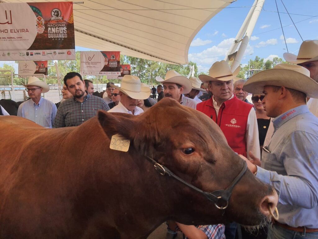 Campeones Angus se quedarán para el Centro de Mejoramiento Genético