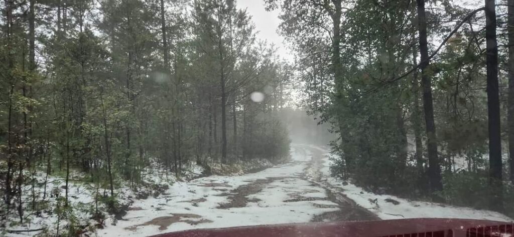 Granizada sorprende a turistas en Puentecillas, en la sierra de Pueblo Nuevo (video)