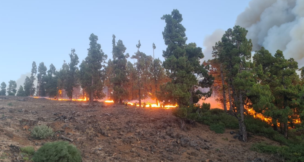 Incendio forestal obliga la evacuación de al menos 4 mil personas en La Palma, España