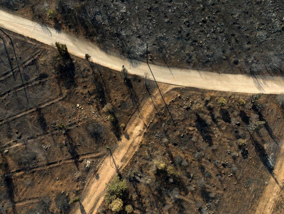 Incendios forestales consumen bosques al norte de Atenas en Grecia