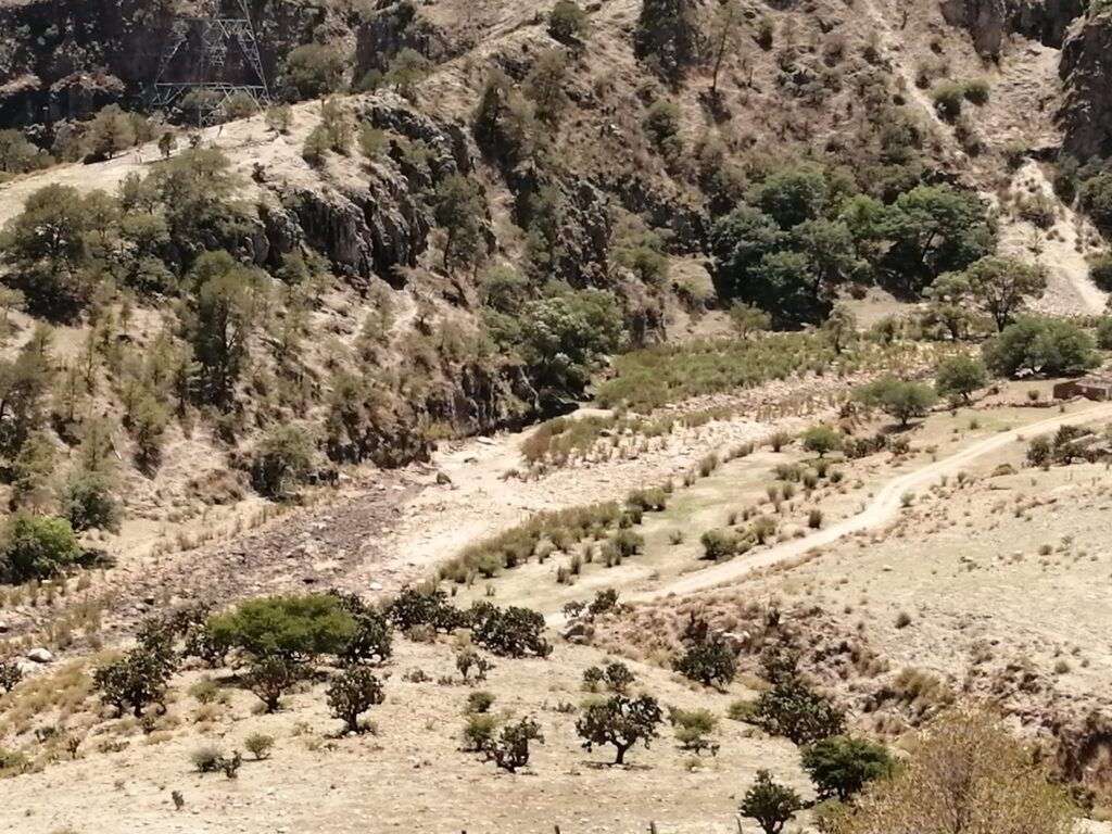 Crisis de agua que vive Uruguay puede sufrirse en Durango: Cuellar