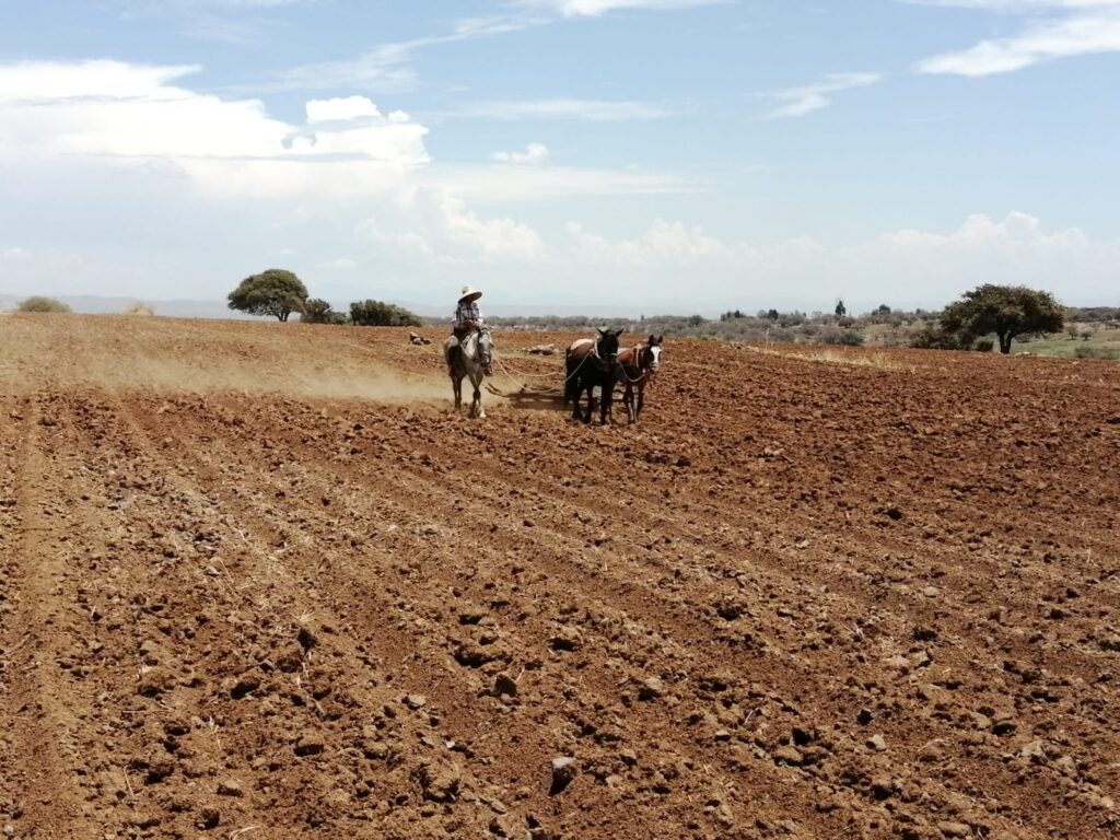 Hay regiones de Durango sin humedad para sembrar, faltan lluvias: Ricardo Navarrete