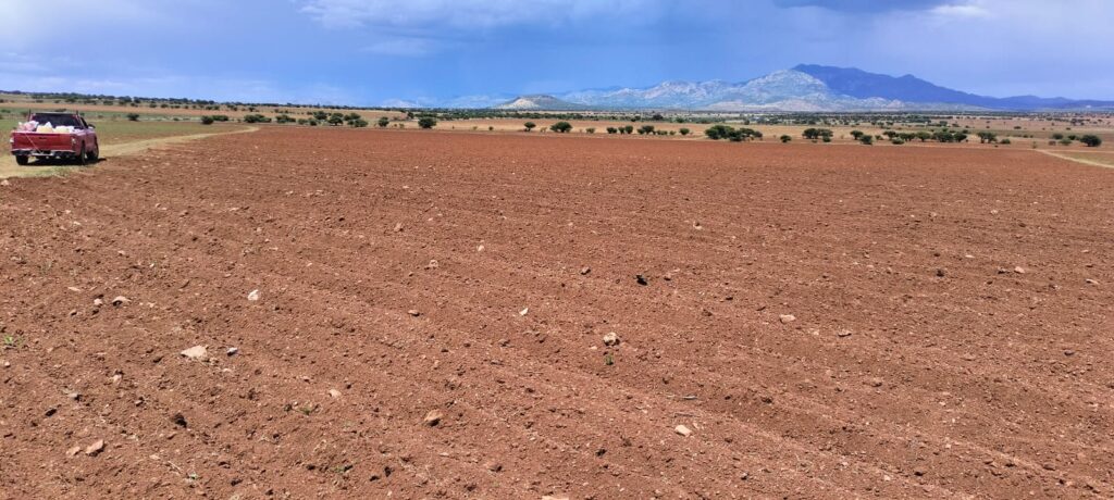 Tierras sin sembrar por falta de lluvias en Durango
