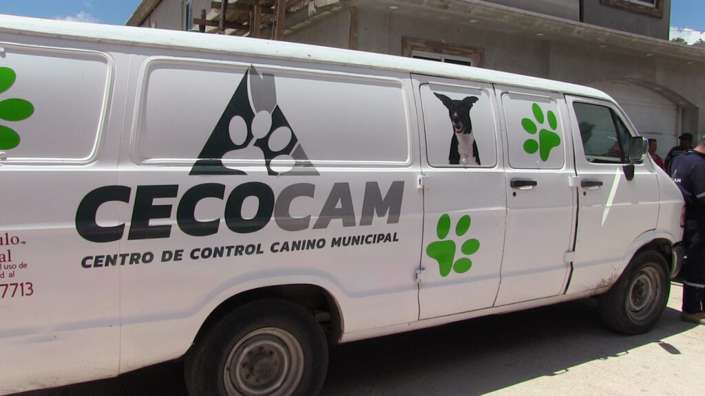 Detectan enfermedad contagiosa entre perros de El Salto