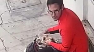 Captan en VIDEO a hombre golpeando a perrito en CDMX