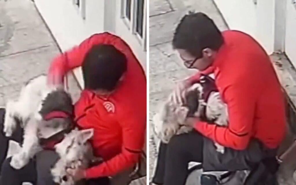 Captan en VIDEO a hombre golpeando a perrito en CDMX