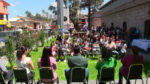 cursos de verano