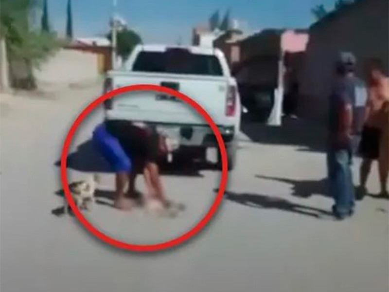 VIDEO: Perrito es arrastrado por camioneta en San Luis Potosí