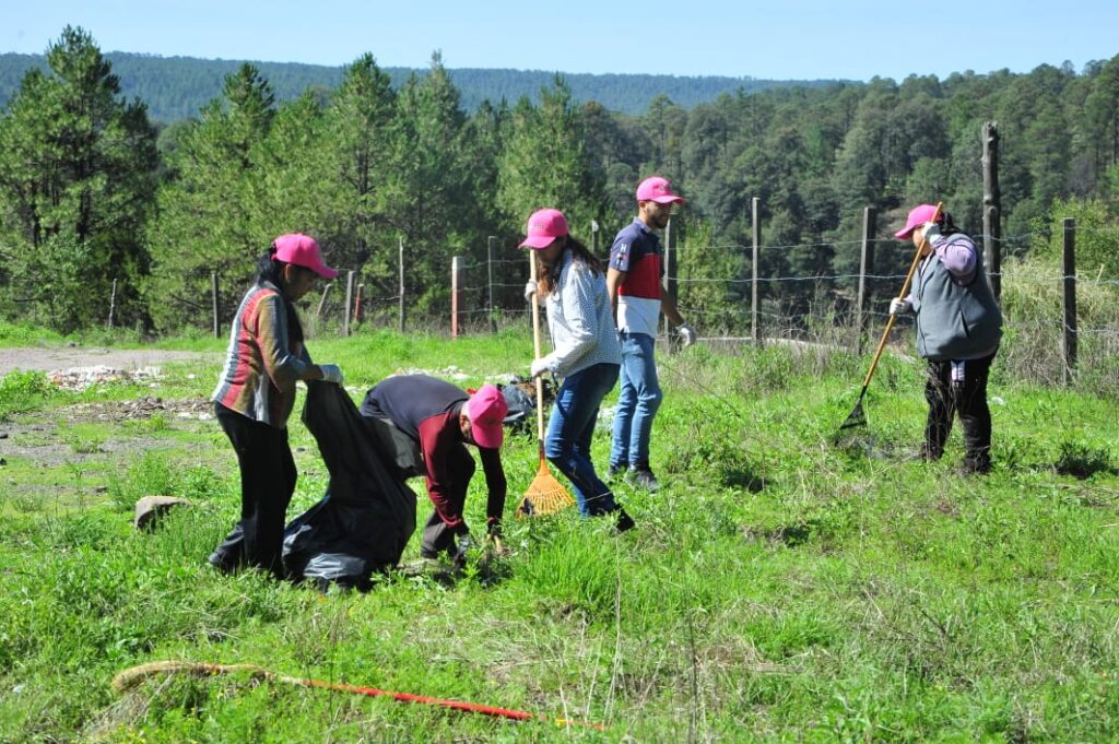 Continúan trabajos de limpieza en la periferia de la ciudad