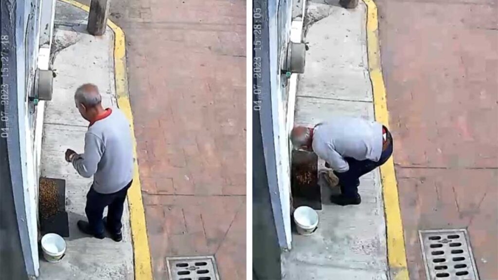 VIDEO: Adulto mayor envenena croquetas para perros en Edomex