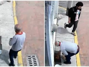 Adulto mayor envenena croquetas para perros en Edomex