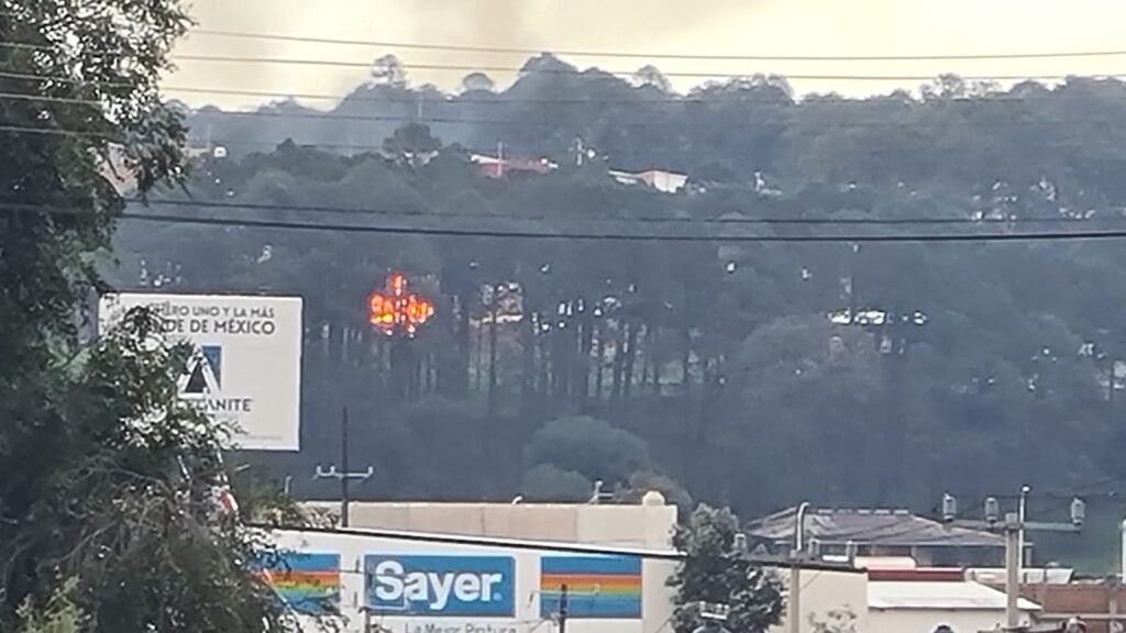 En operativo permanente en fábricas y aserraderos; PC