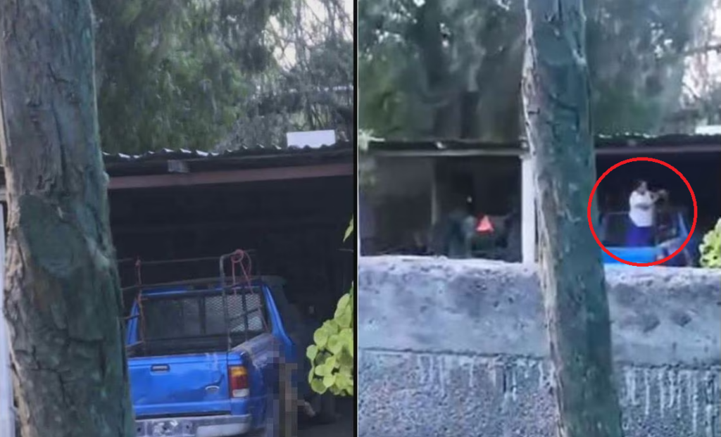VIDEO: Mujer cuelga a un perrito hasta ahorcarlo con una cadena; exigen justicia