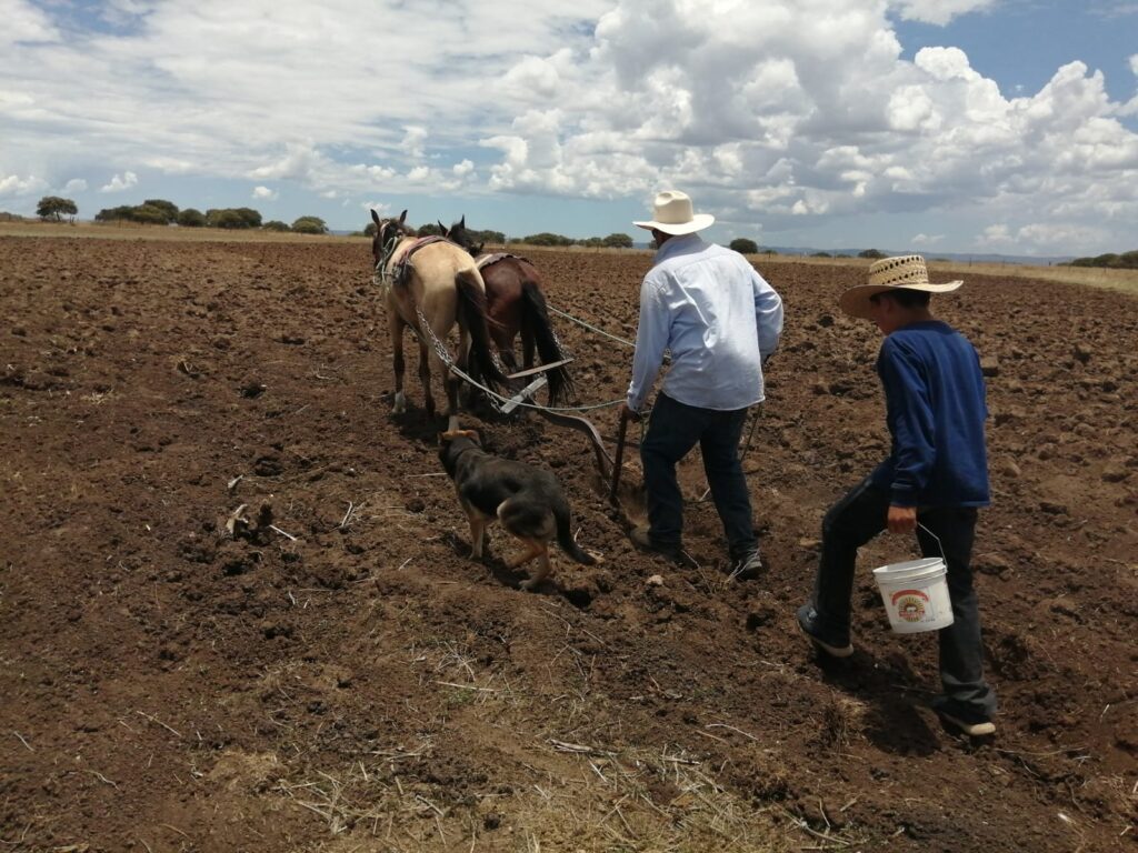 Conaza detuvo bombardeo de nubes en Durango, gobernador exige explicación