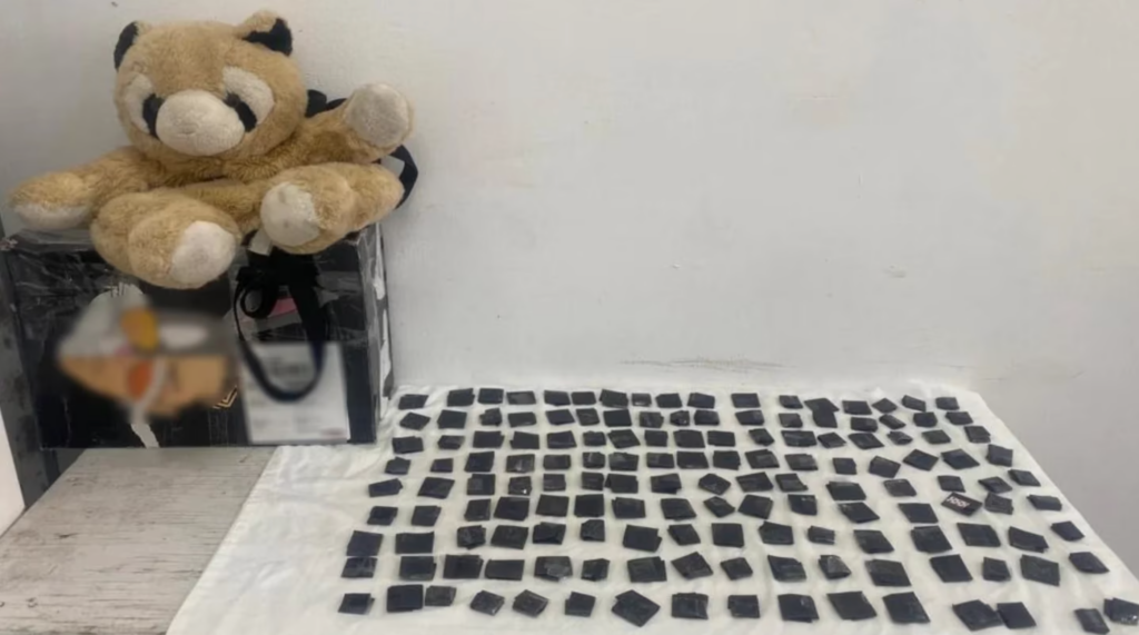 Encontraron cocaína dentro de un juguete de peluche en Aguascalientes