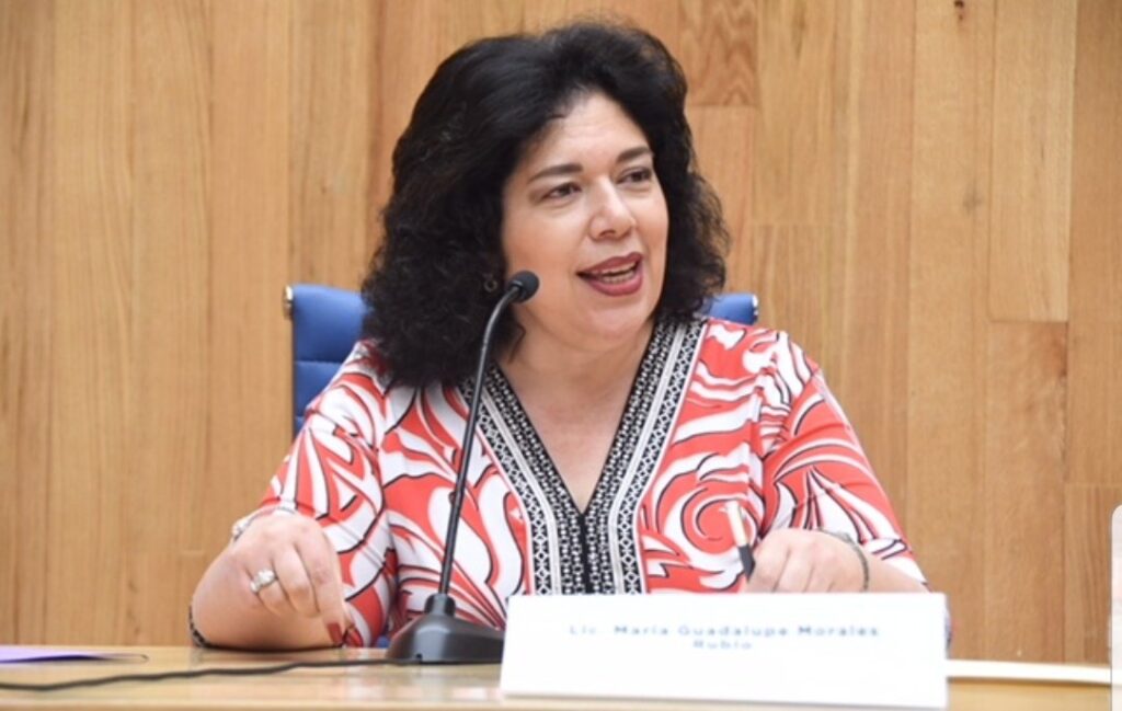 Morena propone 15 años de prisión para quien mutile libros de texto en CDMX