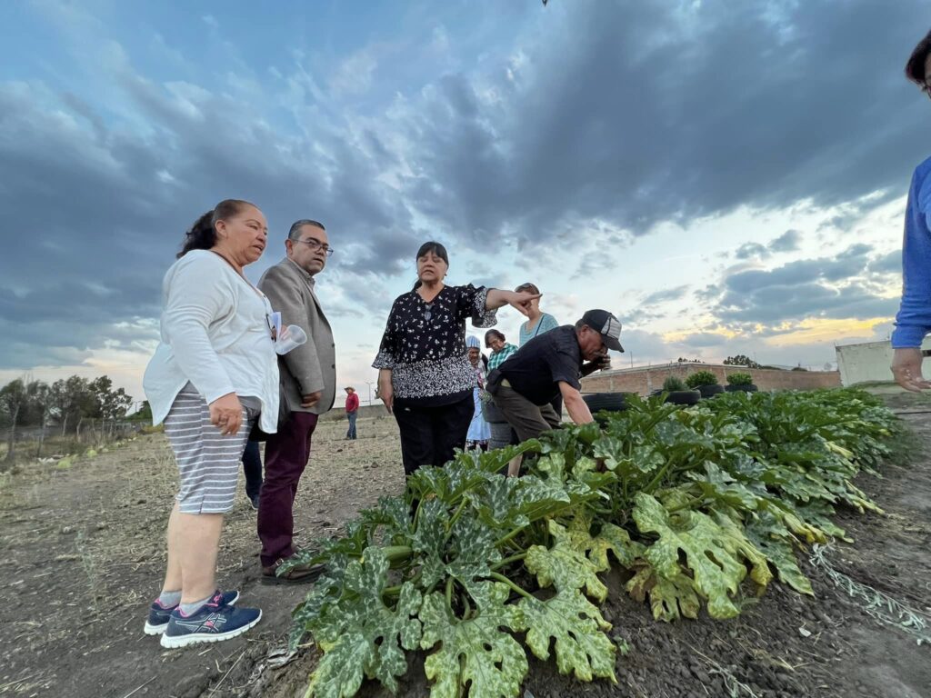 Mejoran suelos agrícolas con residuos del rastro municipal en Guadalupe Victoria