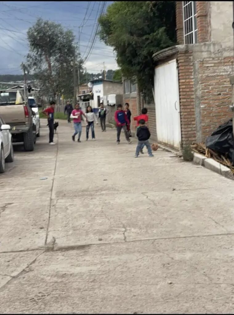 Piden atender actos de vandalismo en colonia de El Salto