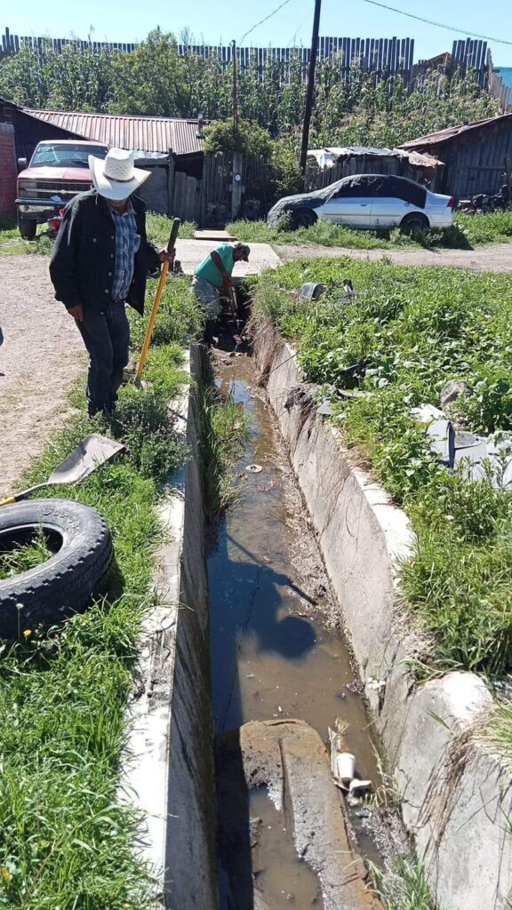Continúan campañas de limpieza en áreas verdes y canales