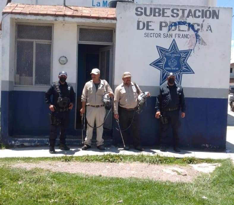 Fumigan áreas de Seguridad Pública para prevenir enfermedades