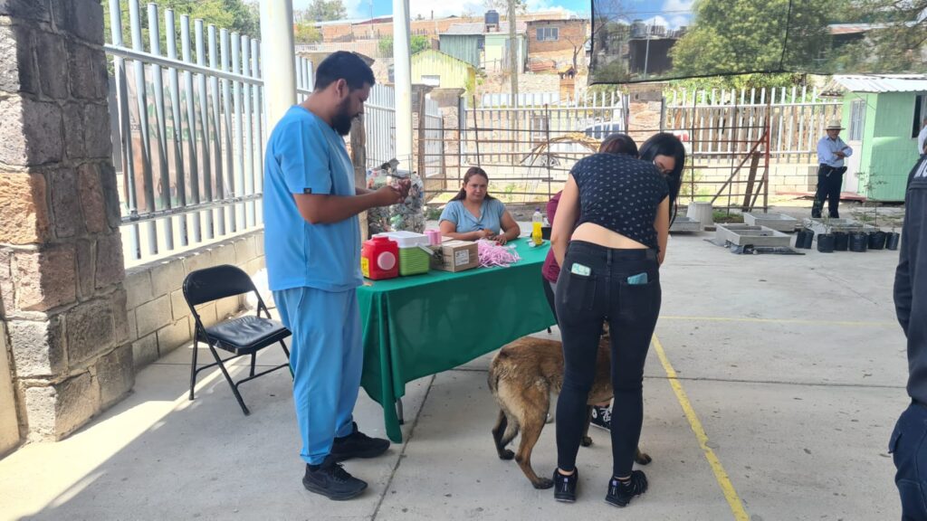 Realizan campaña de vacuna antirrábica en localidad de Mil 10
