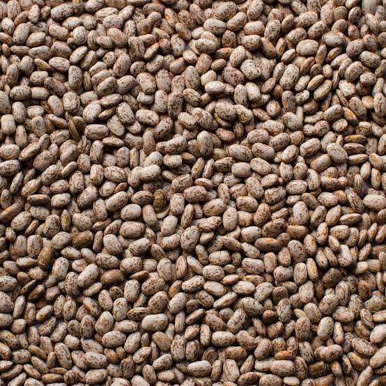 Frijol y limón productos más caros, la sequía es la causa y seguirán aumentando