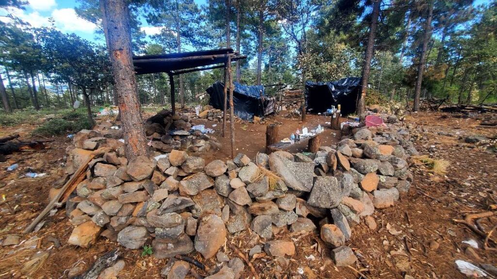 Destruyen campamento en Madera con armas de fuego