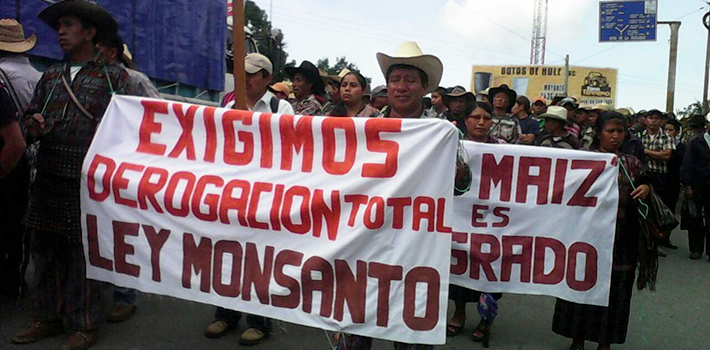 Campesinos de Guatemala protestan contra la ‘Ley Monsanto’