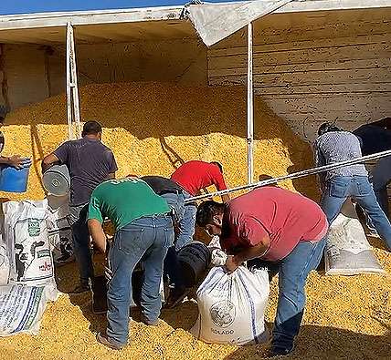 De hasta 4 costales en el lomo rapiñaron personas en volcadura en la Parral – Jimenez