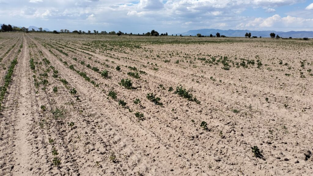 Durango se prepara para la carestía por sequía; «2024 será un año complejo»: Esteban