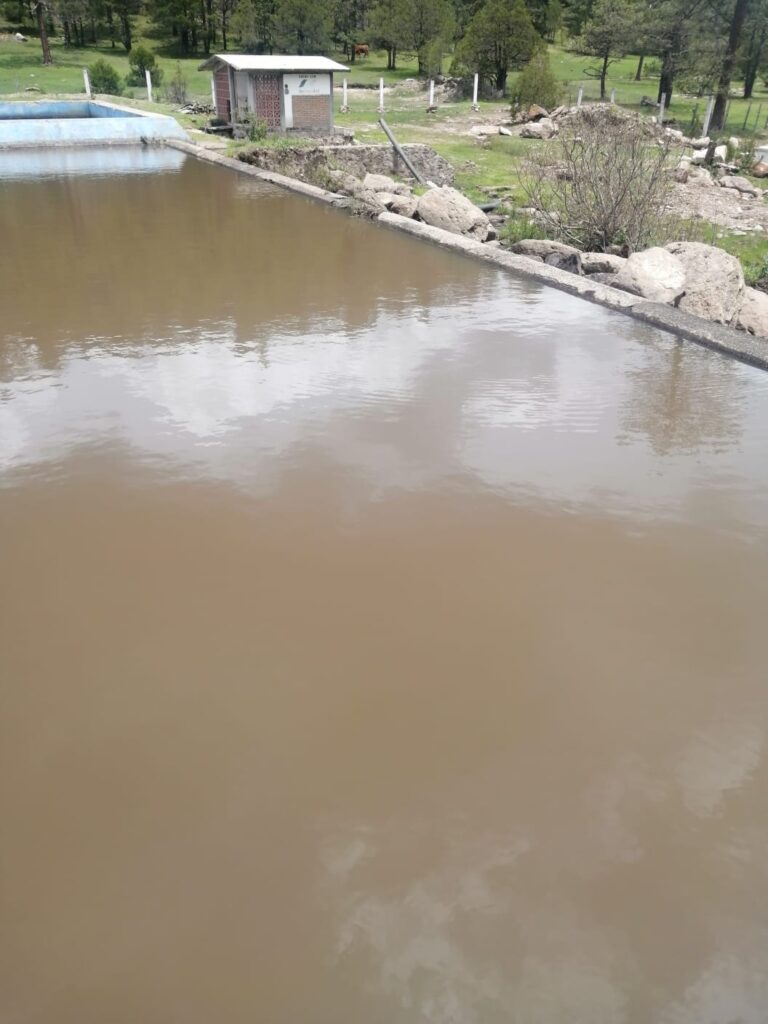 Estas son las acciones por la falta de lluvia
