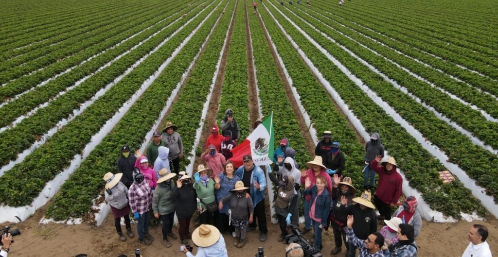 Migrantes en EU están preocupados por la violencia en México: Xóchitl Gálvez