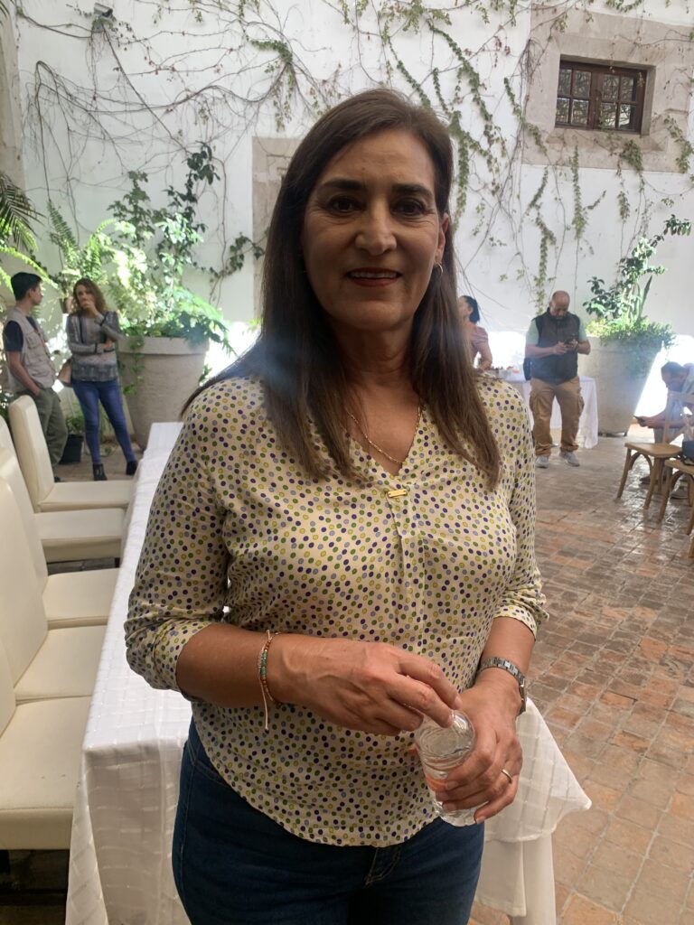 Municipios panistas sin observaciones por la cuenta pública: diputada
